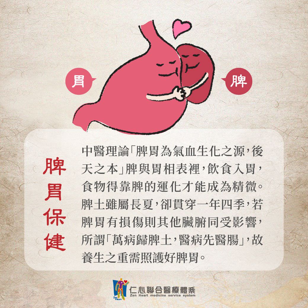 脾胃